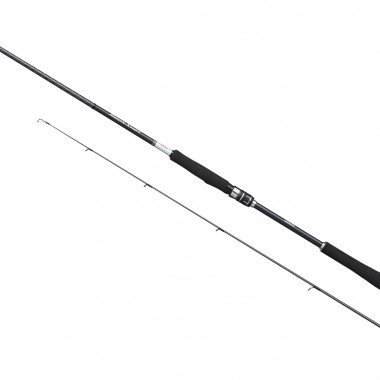 Modell Rute Shimano Moonshot Spinning Inshore