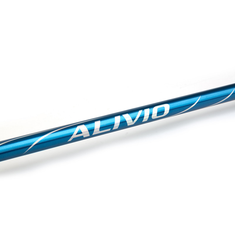 02_caña_shimano_alivio_bx_boat_tele.jpg