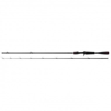 Modelo Caña Shimano Zodias Casting 2pcs
